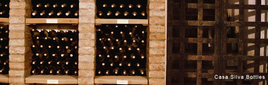 Casa-Silva-Bottles.jpg