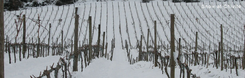 Chivite-Vineyard-Winter.jpg