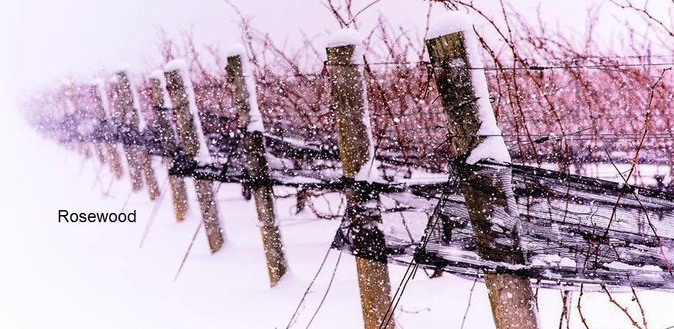 Rosewood-Winery.jpg