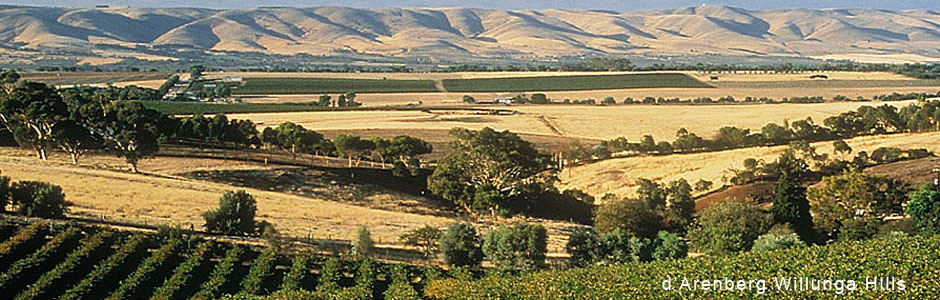darenberg-vineyards-and-Willunga-Hills.jpg